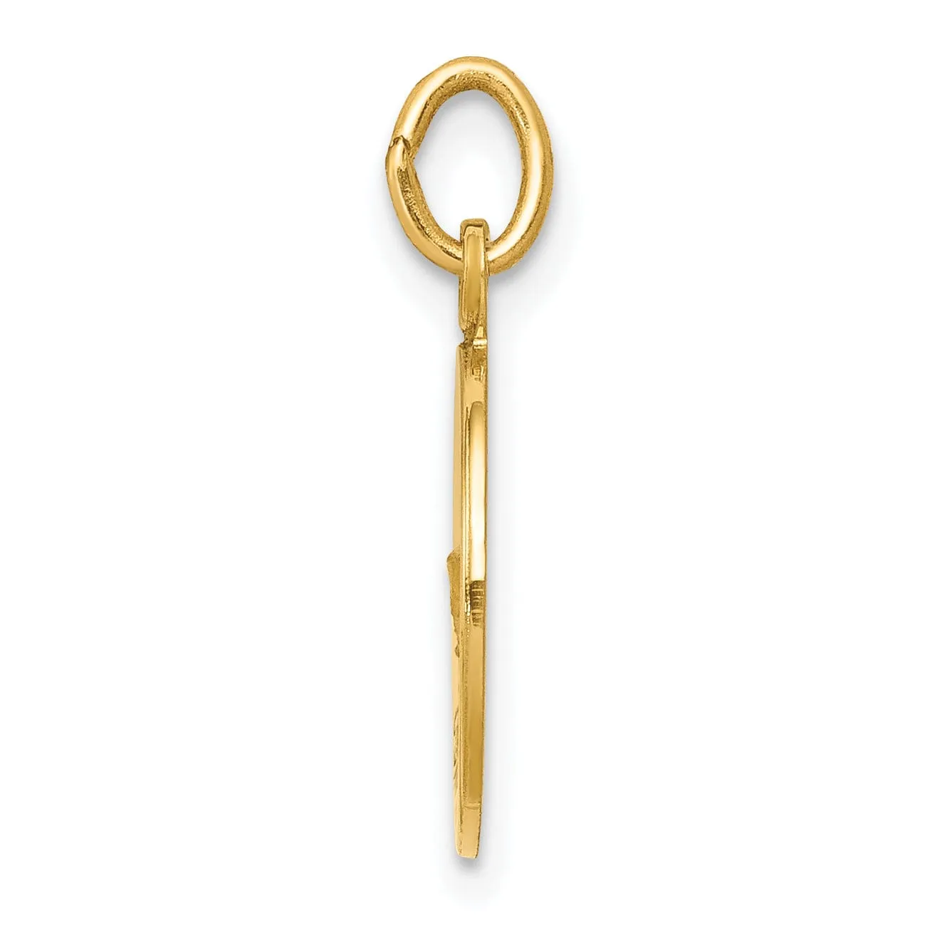 14K Yellow Gold Confirmation with Chalice Cup Round Disc Medal Pendant