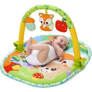 3in1 Activity playgym