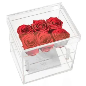 Acrylic Preserved Rose Box – Timeless Floral for Loved Ones