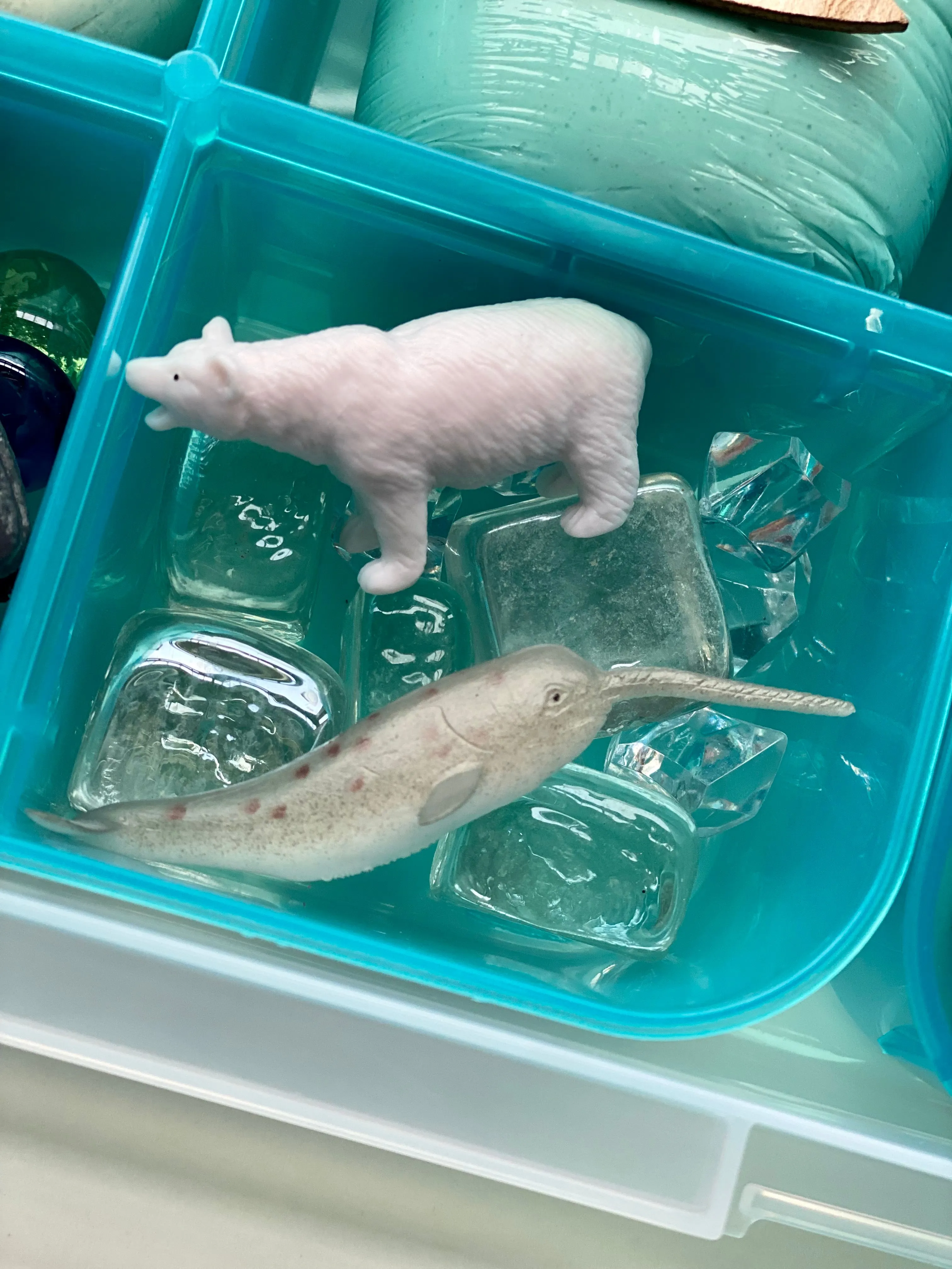Arctic Animals Bin