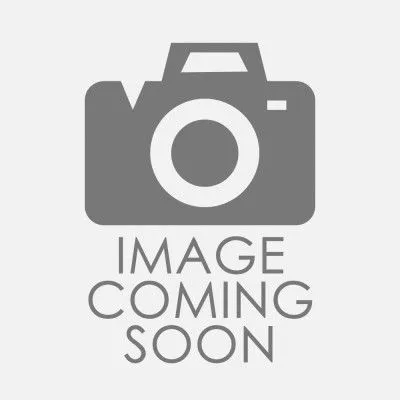 BFP Swimbaits Chappo 200mm Floating Stickbait Lure