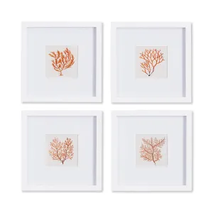 Branch Coral Petite Prints, Set Of 4