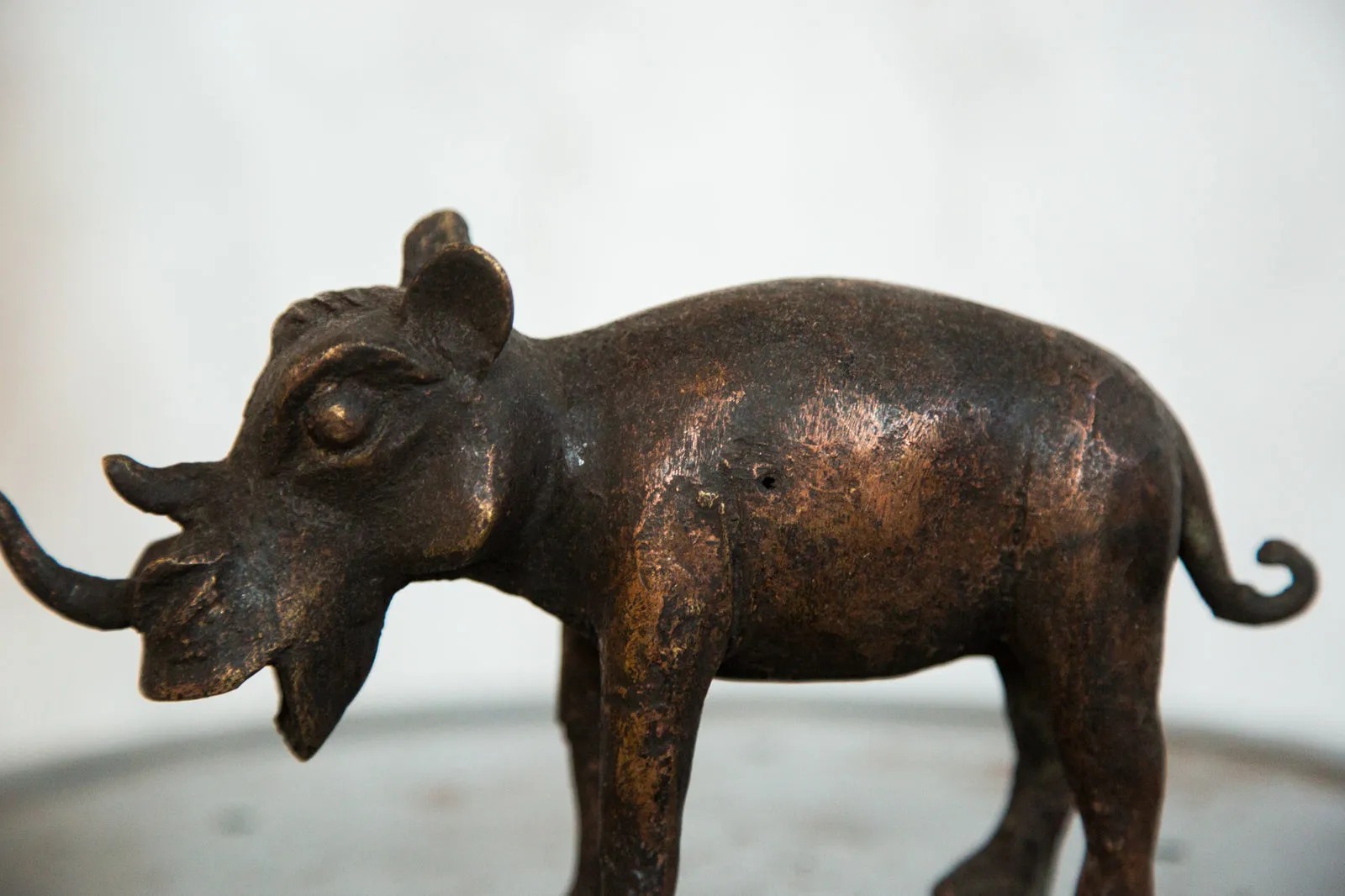 Copper Vintage African Rhino