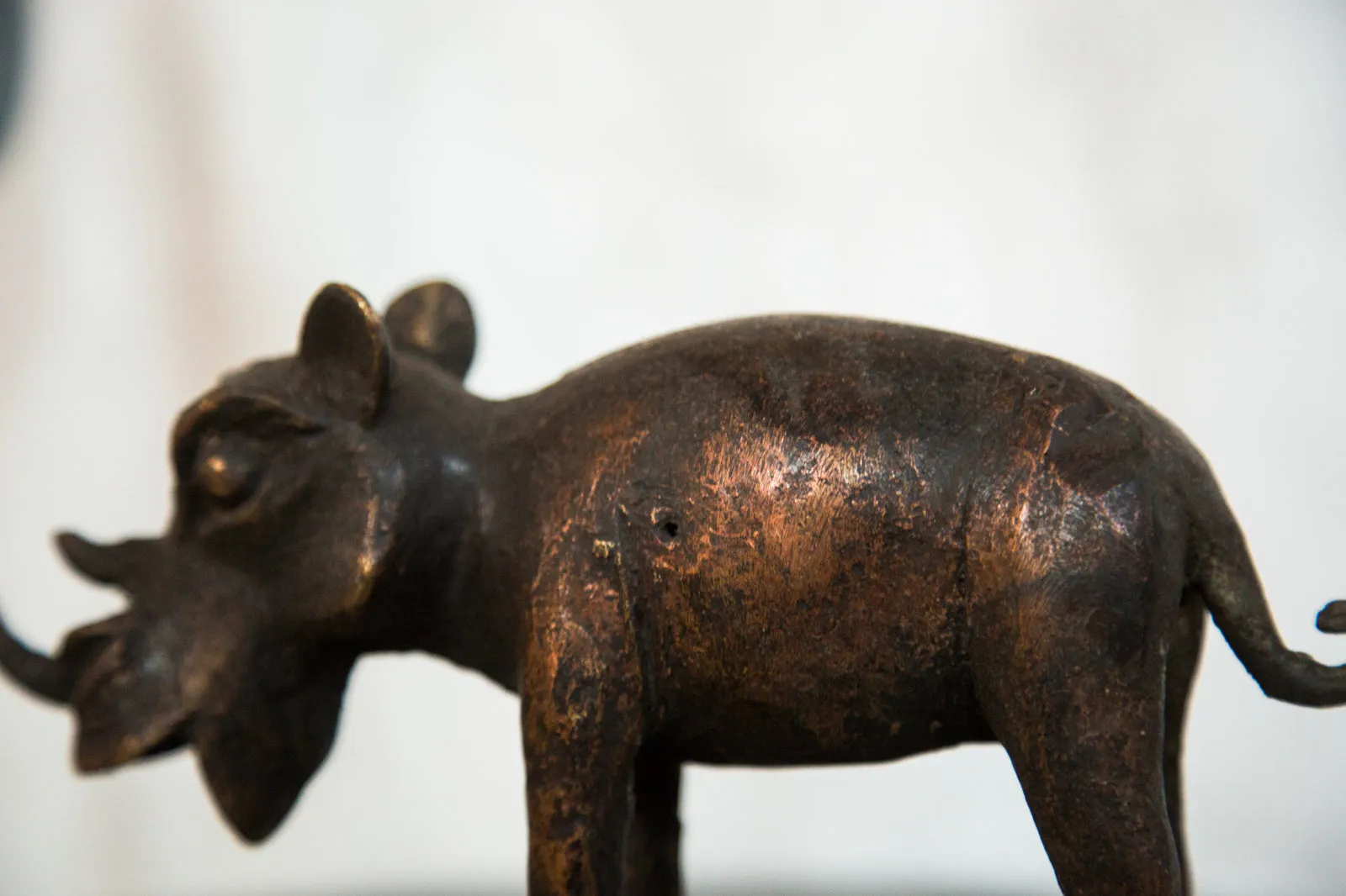 Copper Vintage African Rhino