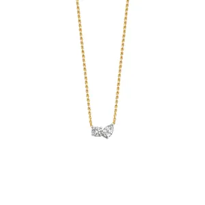 Duo Necklace