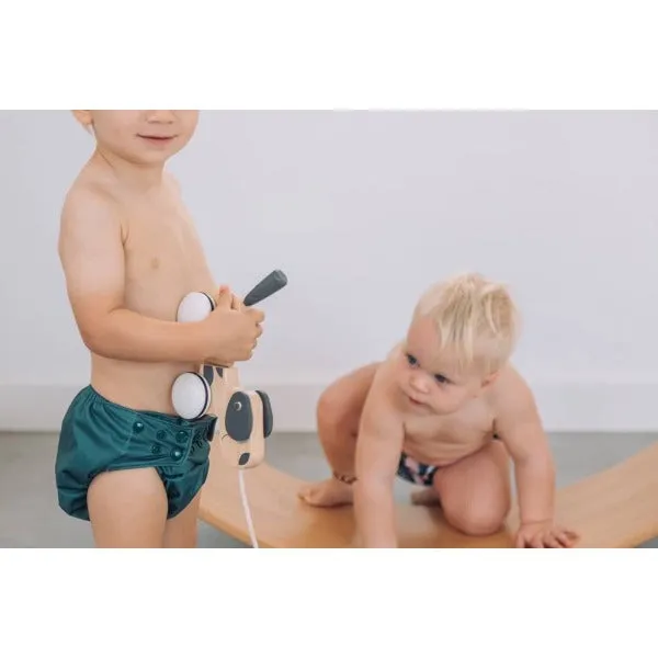 Eco-friendly Reusable Nappy - Ellis