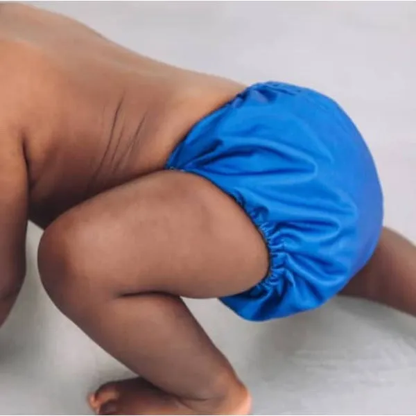 Eco-friendly Reusable Nappy - Greek Orchid