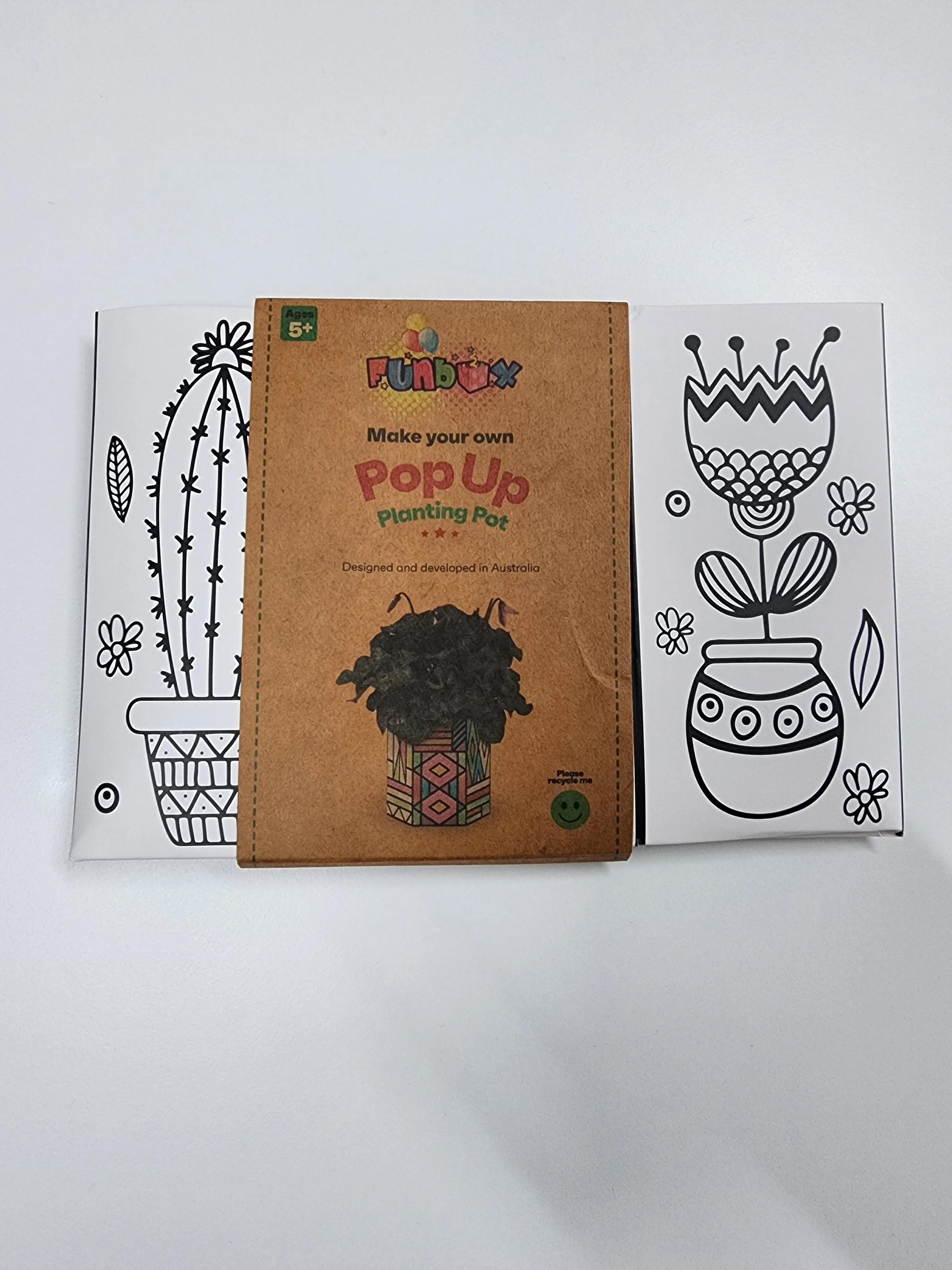 Eco Pop-Up Flower Pot Kit - Cactus Pattern