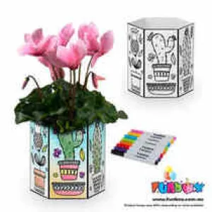 Eco Pop-Up Flower Pot Kit - Cactus Pattern