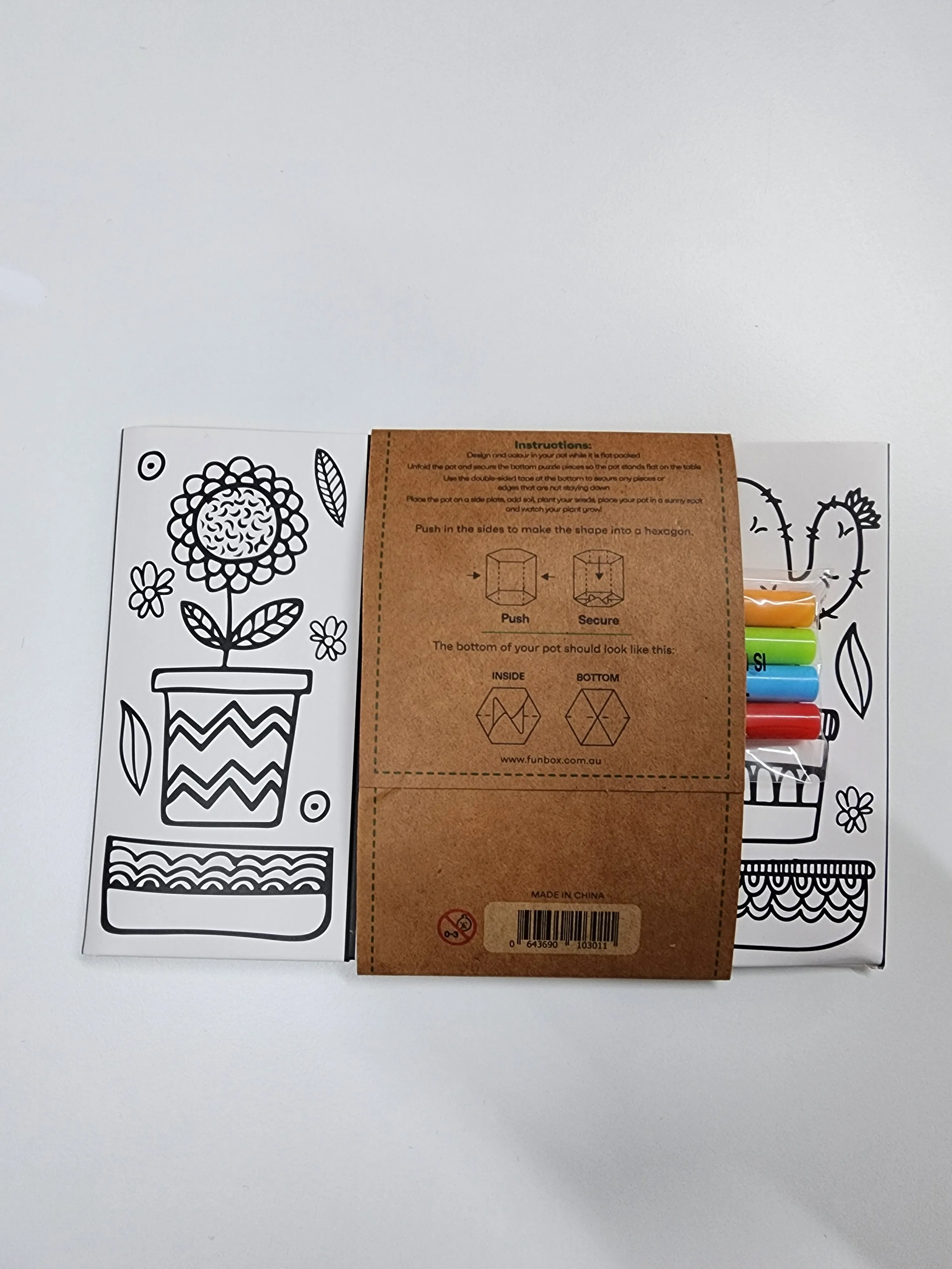 Eco Pop-Up Veg Pot Kit - Cactus Pattern