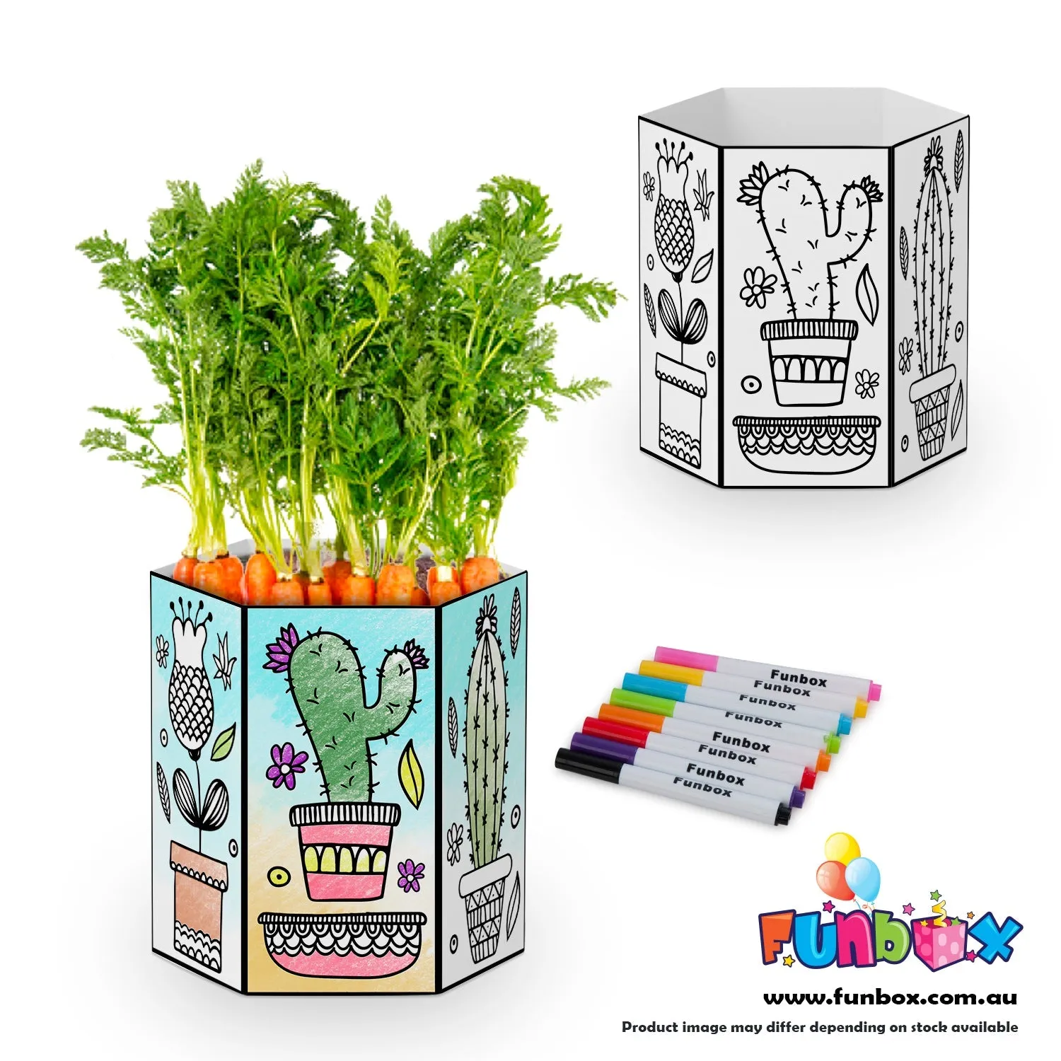 Eco Pop-Up Veg Pot Kit - Cactus Pattern