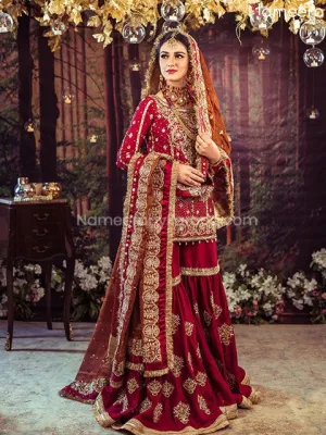 Elegant Pakistani Maroon Wedding Dress Online #BB225