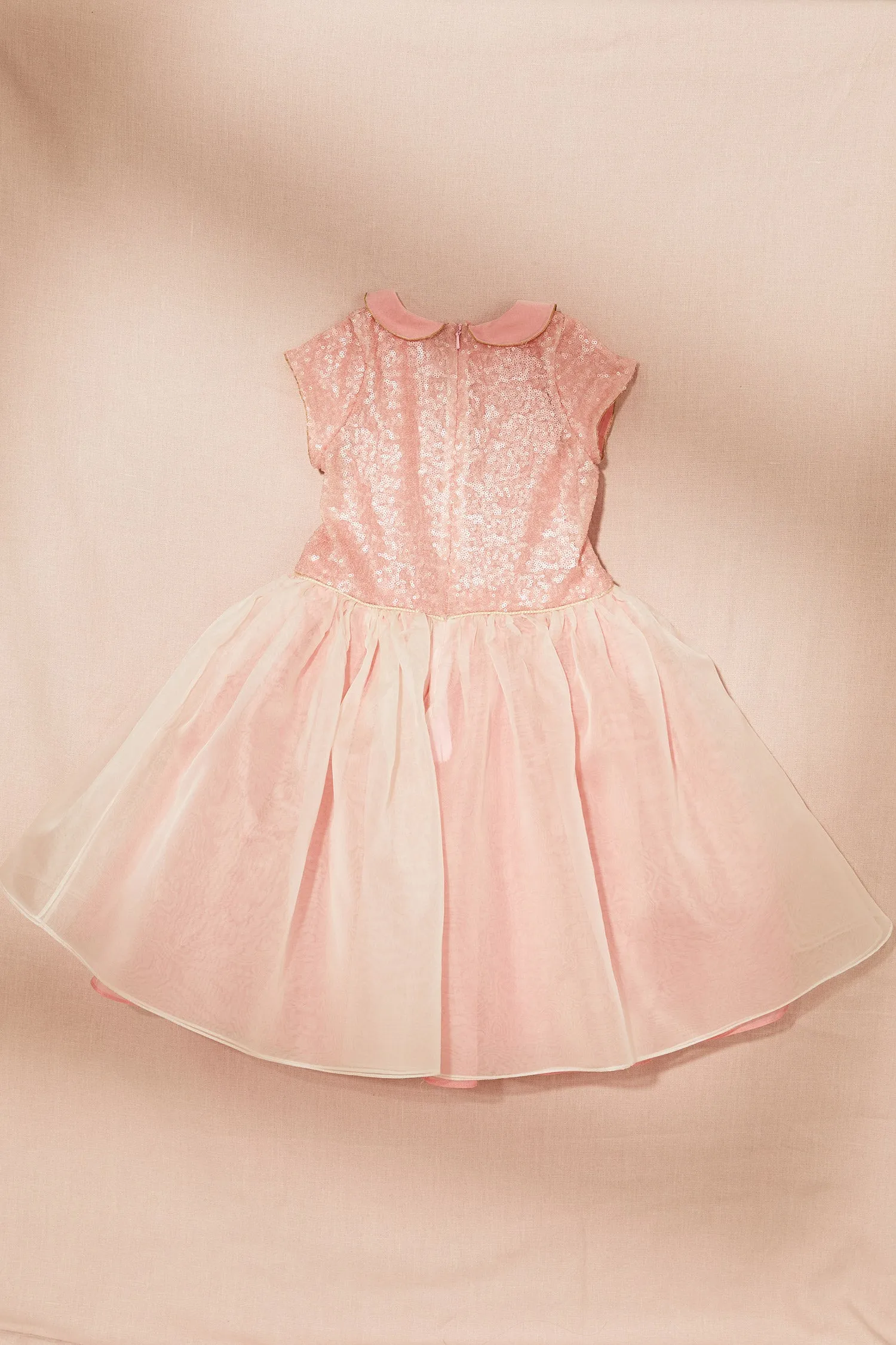Fairy Dress with Silk Organza