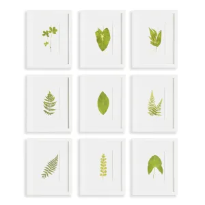 Green Leaf Petite Prints, Set Of 9