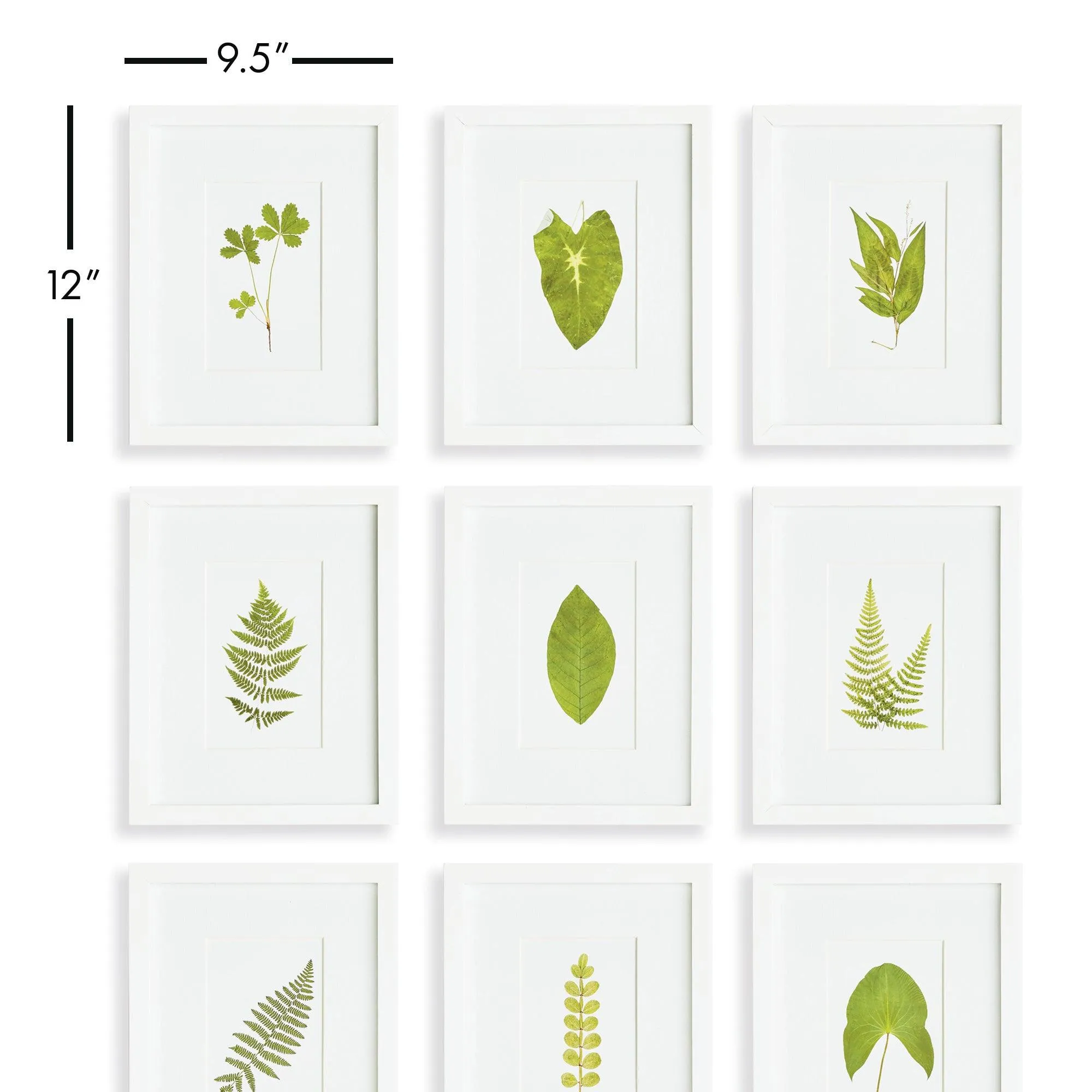 Green Leaf Petite Prints, Set Of 9