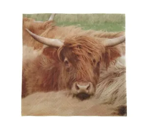 Highland Cow Napkin (Pack of 20)