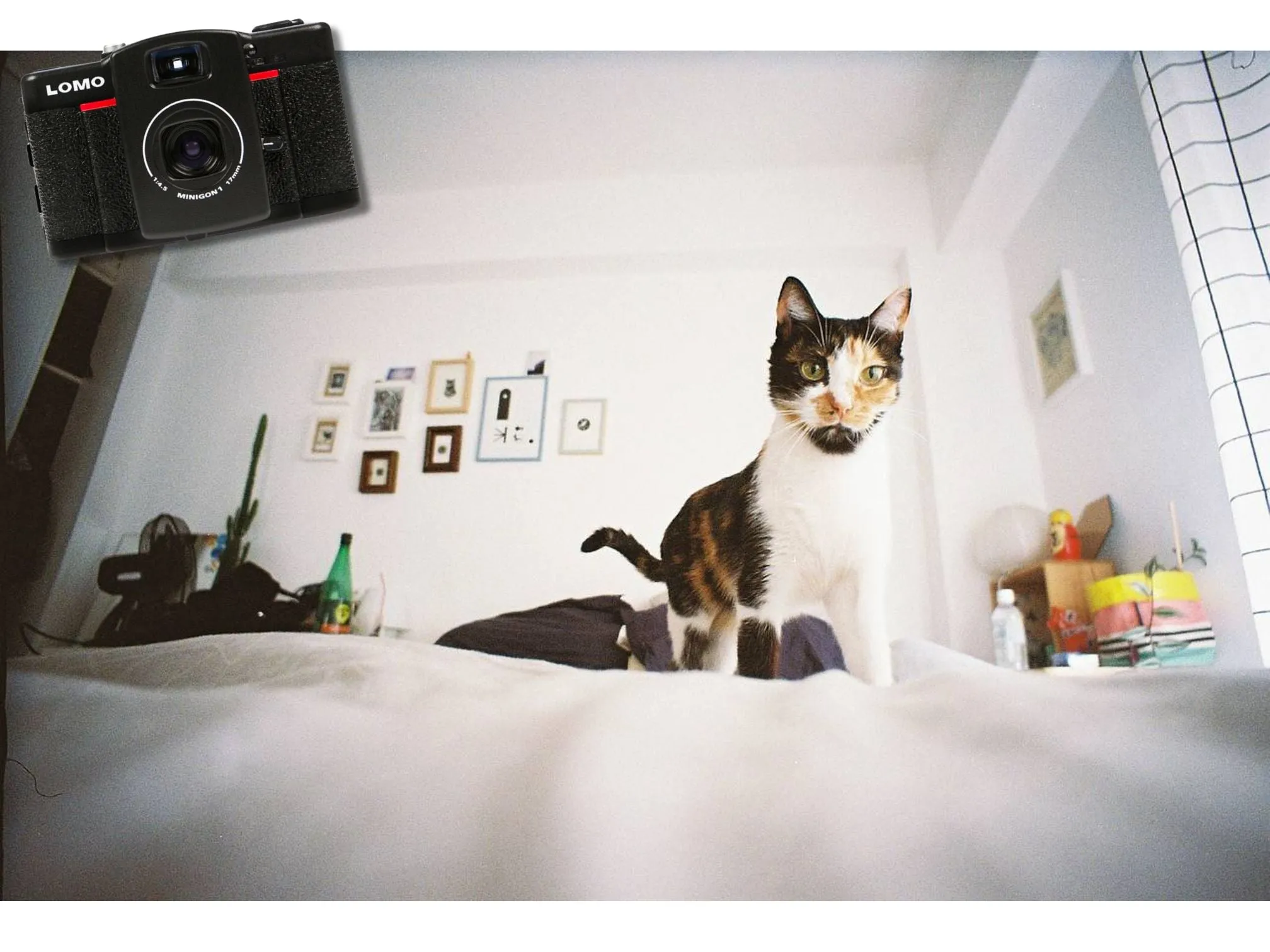 Lomography LC-Wide 35mm Bundle