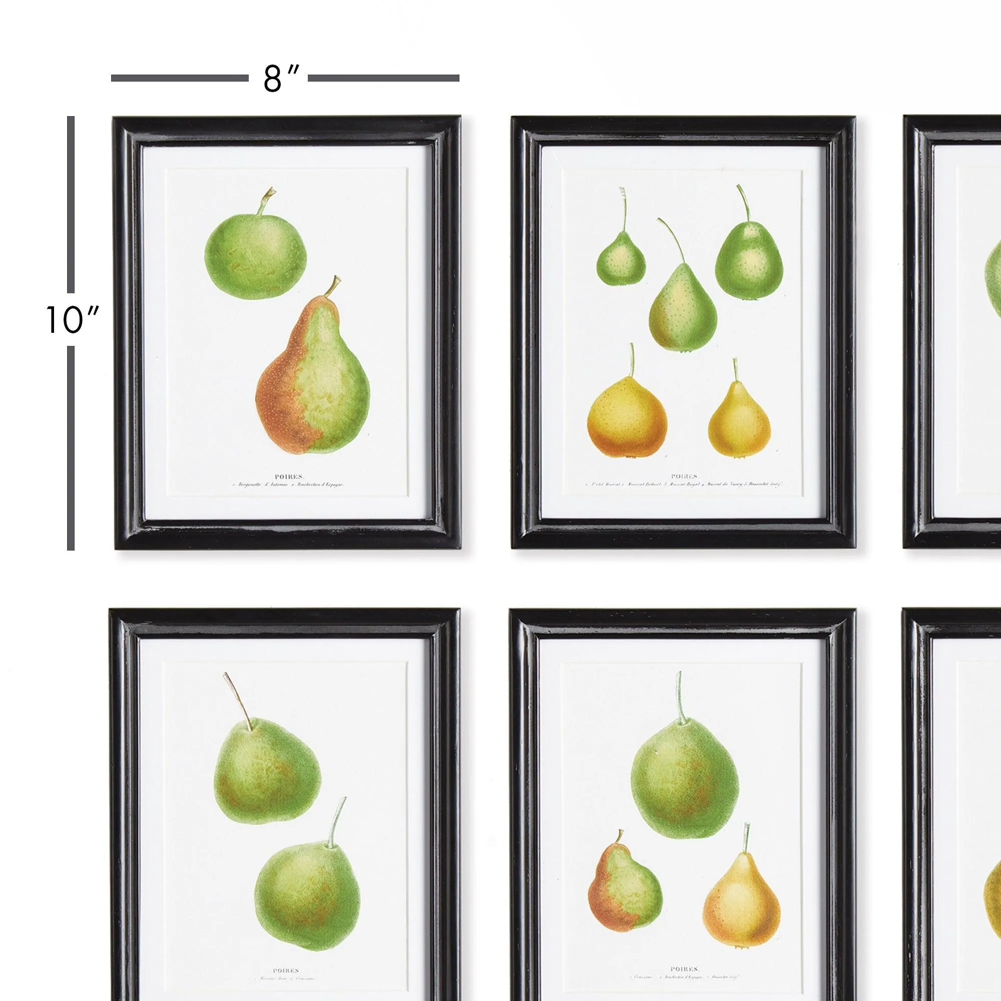 Pear Study, Set Of 6