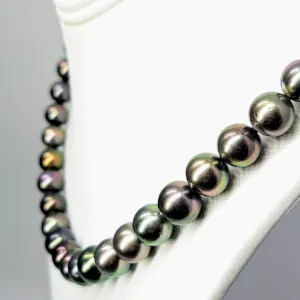"Gold Standard" 16" Necklace - Tahitian Pearl with 14k Gold Safety Clasp