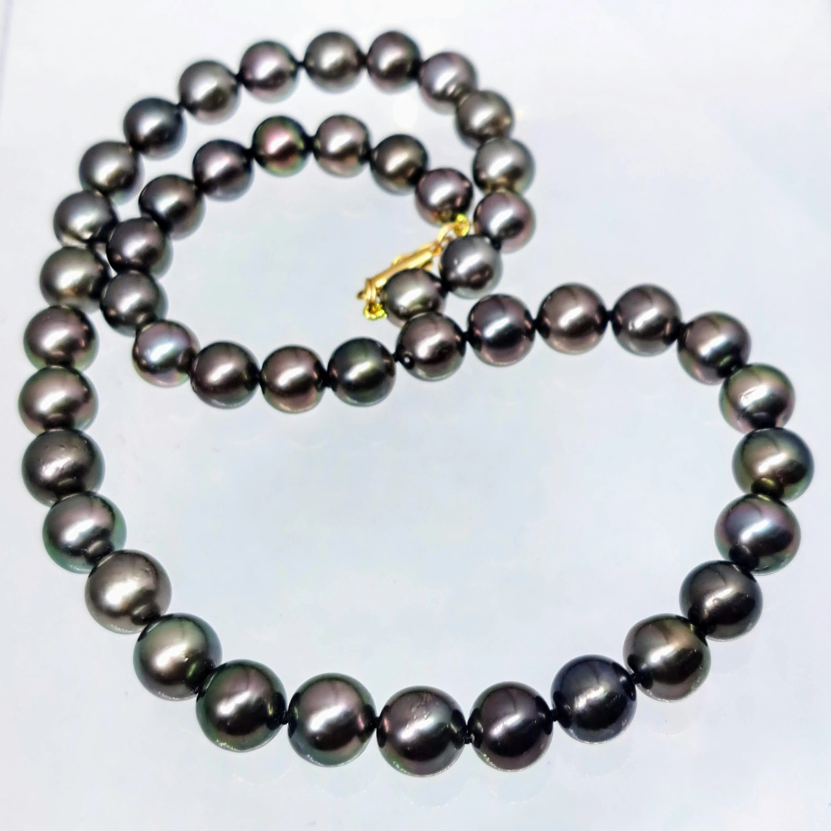 "Gold Standard" 16" Necklace - Tahitian Pearl with 14k Gold Safety Clasp