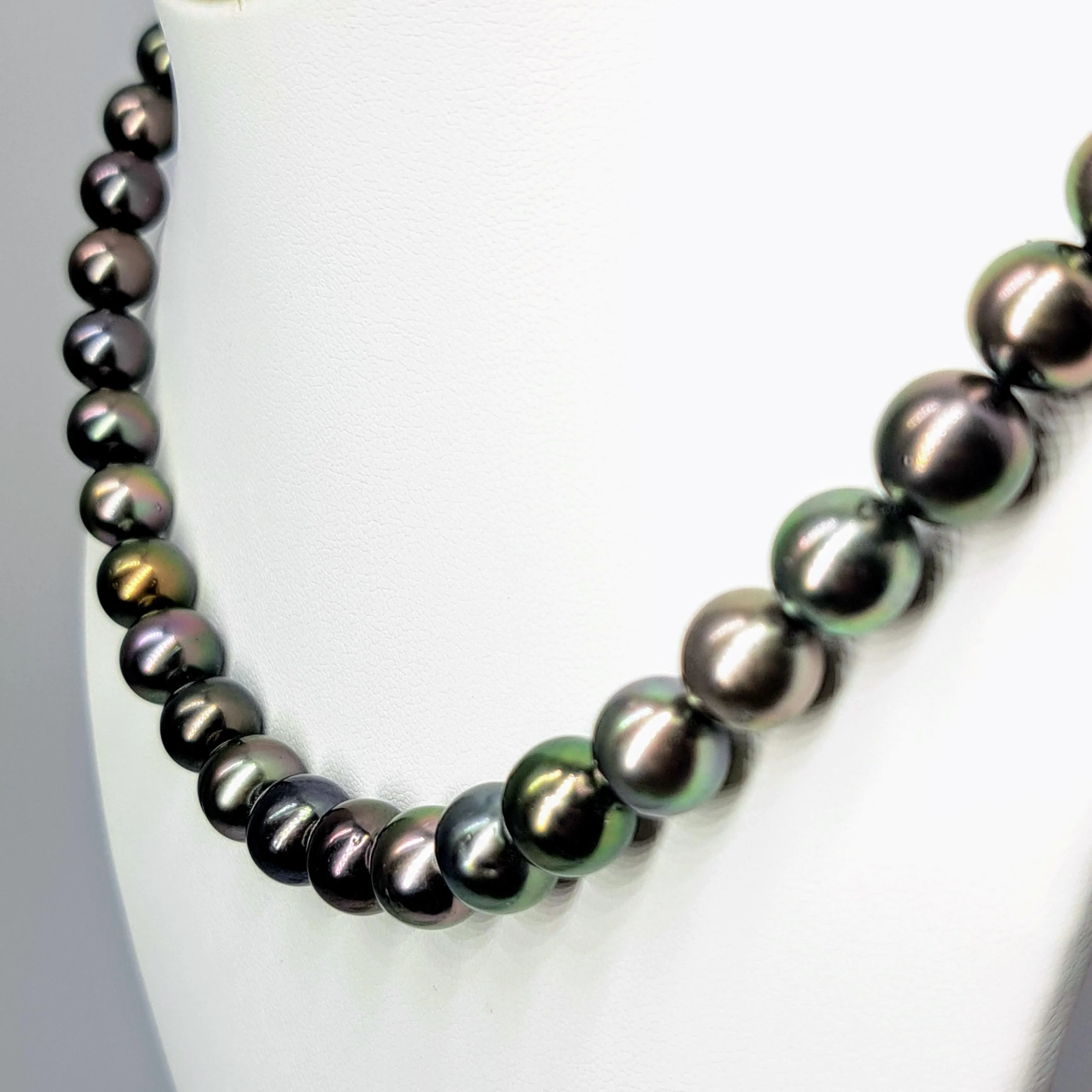 "Gold Standard" 16" Necklace - Tahitian Pearl with 14k Gold Safety Clasp