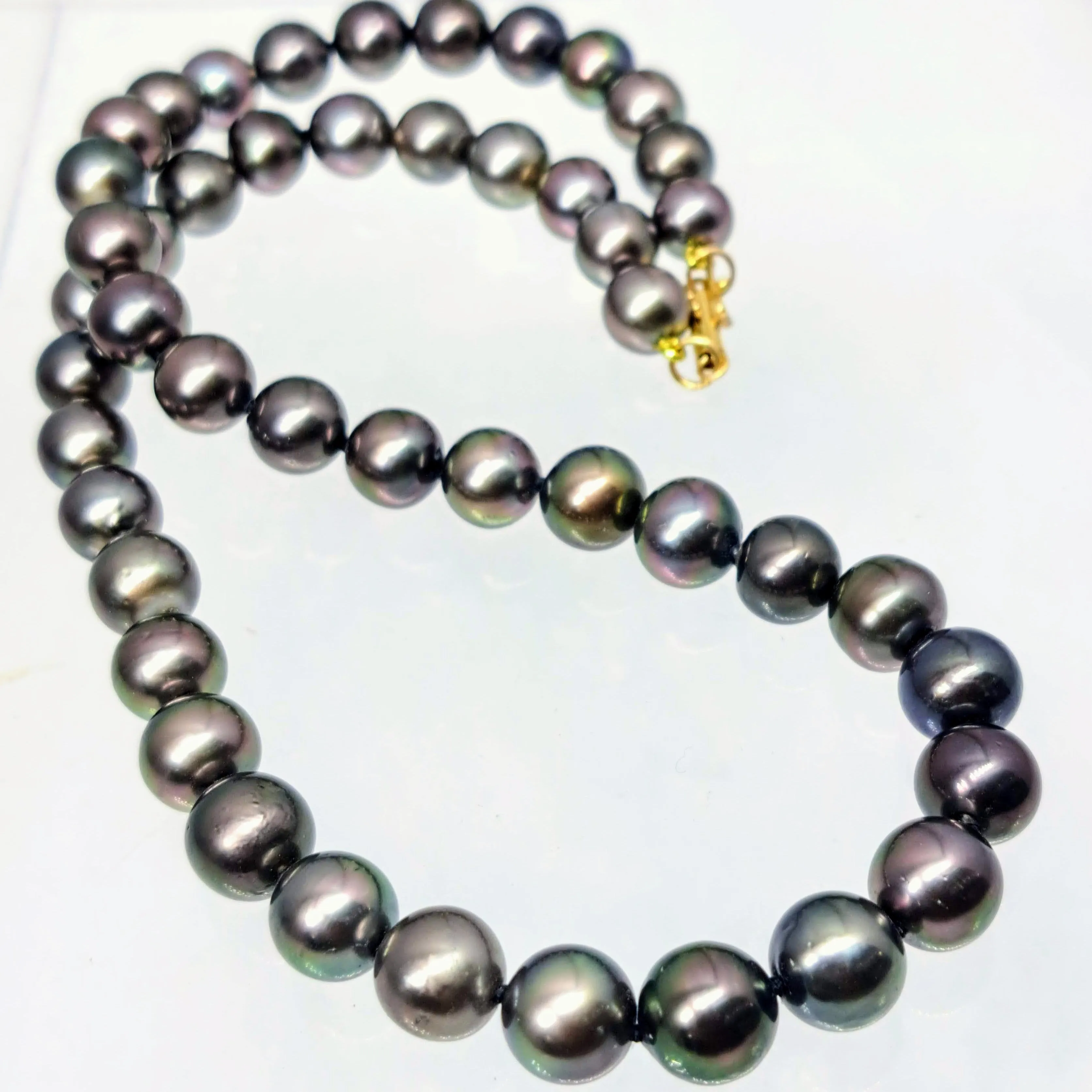 "Gold Standard" 16" Necklace - Tahitian Pearl with 14k Gold Safety Clasp