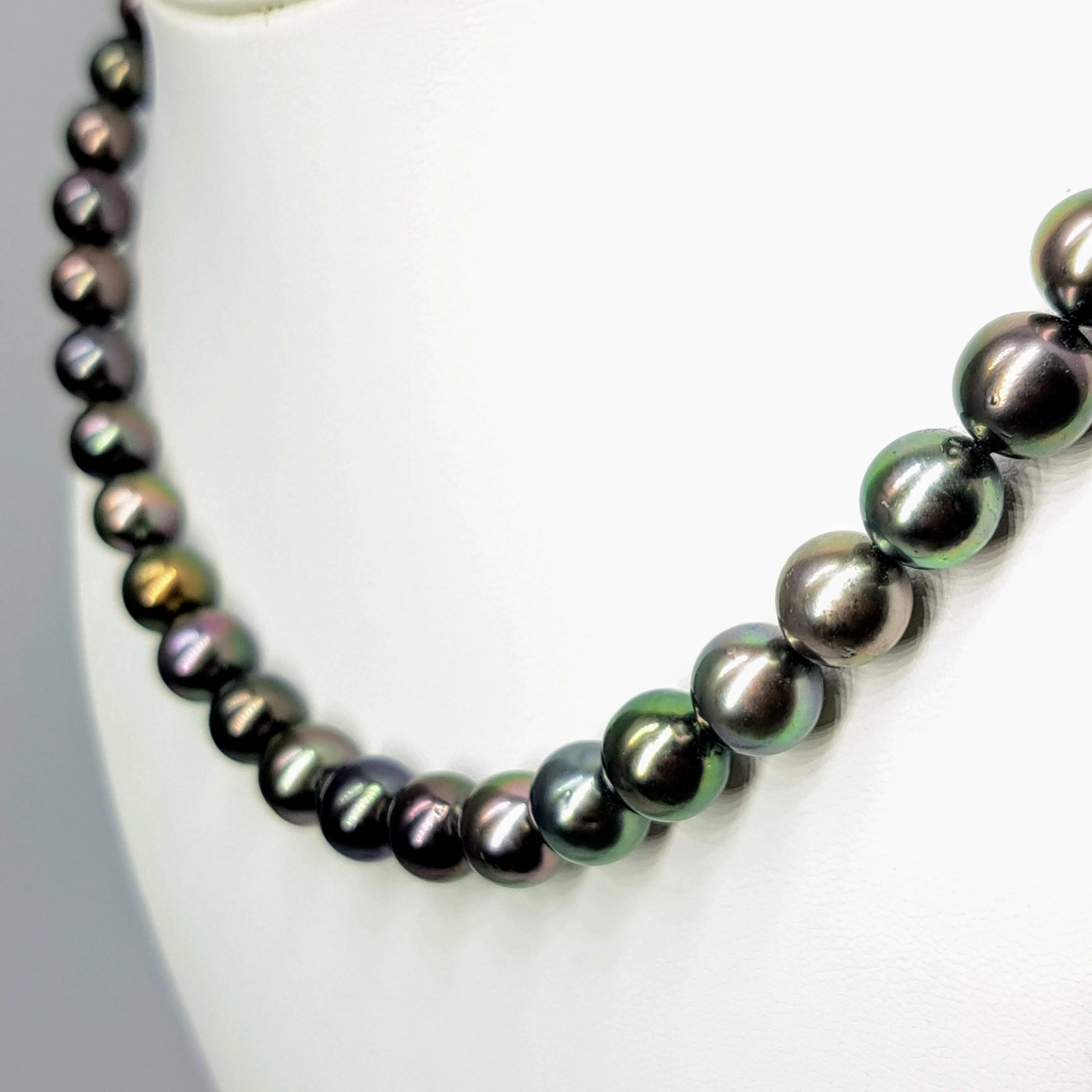 "Gold Standard" 16" Necklace - Tahitian Pearl with 14k Gold Safety Clasp