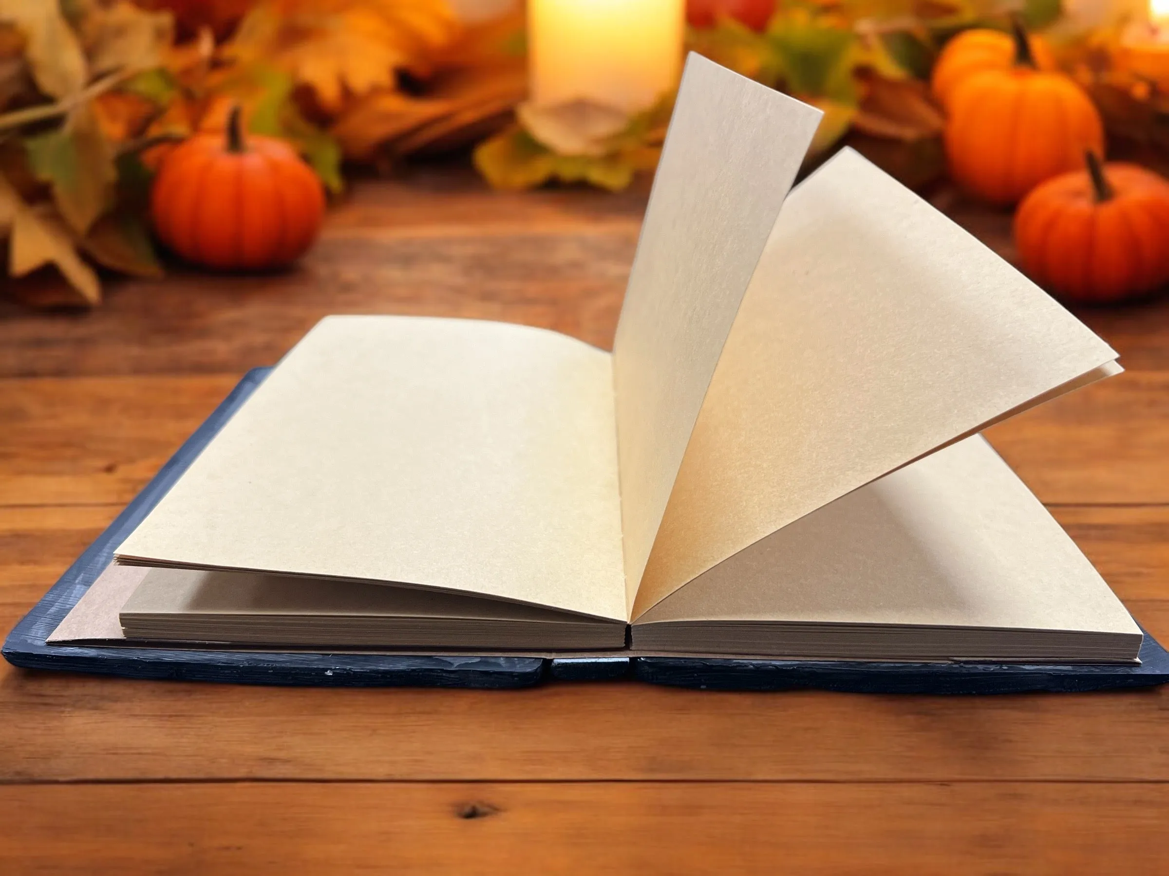 Raven Book Journal - 3D