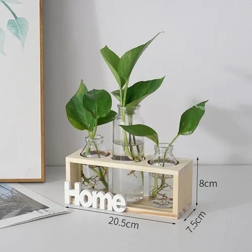 Simple Wooden Frame With Transparent Glass Flower Vase