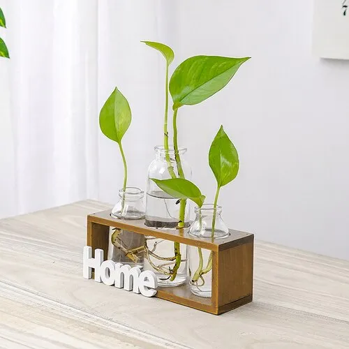 Simple Wooden Frame With Transparent Glass Flower Vase