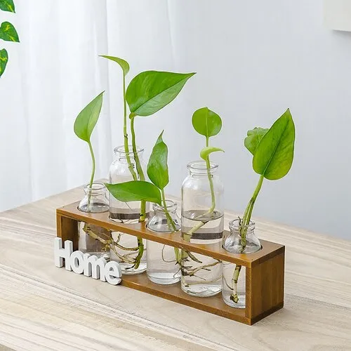 Simple Wooden Frame With Transparent Glass Flower Vase