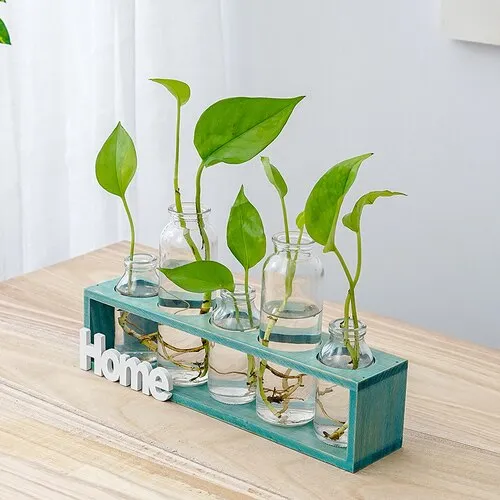Simple Wooden Frame With Transparent Glass Flower Vase