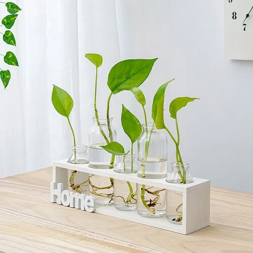 Simple Wooden Frame With Transparent Glass Flower Vase
