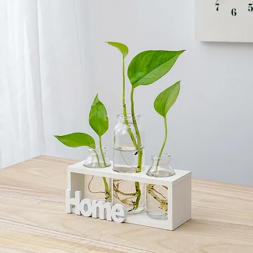 Simple Wooden Frame With Transparent Glass Flower Vase
