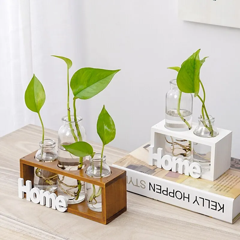 Simple Wooden Frame With Transparent Glass Flower Vase