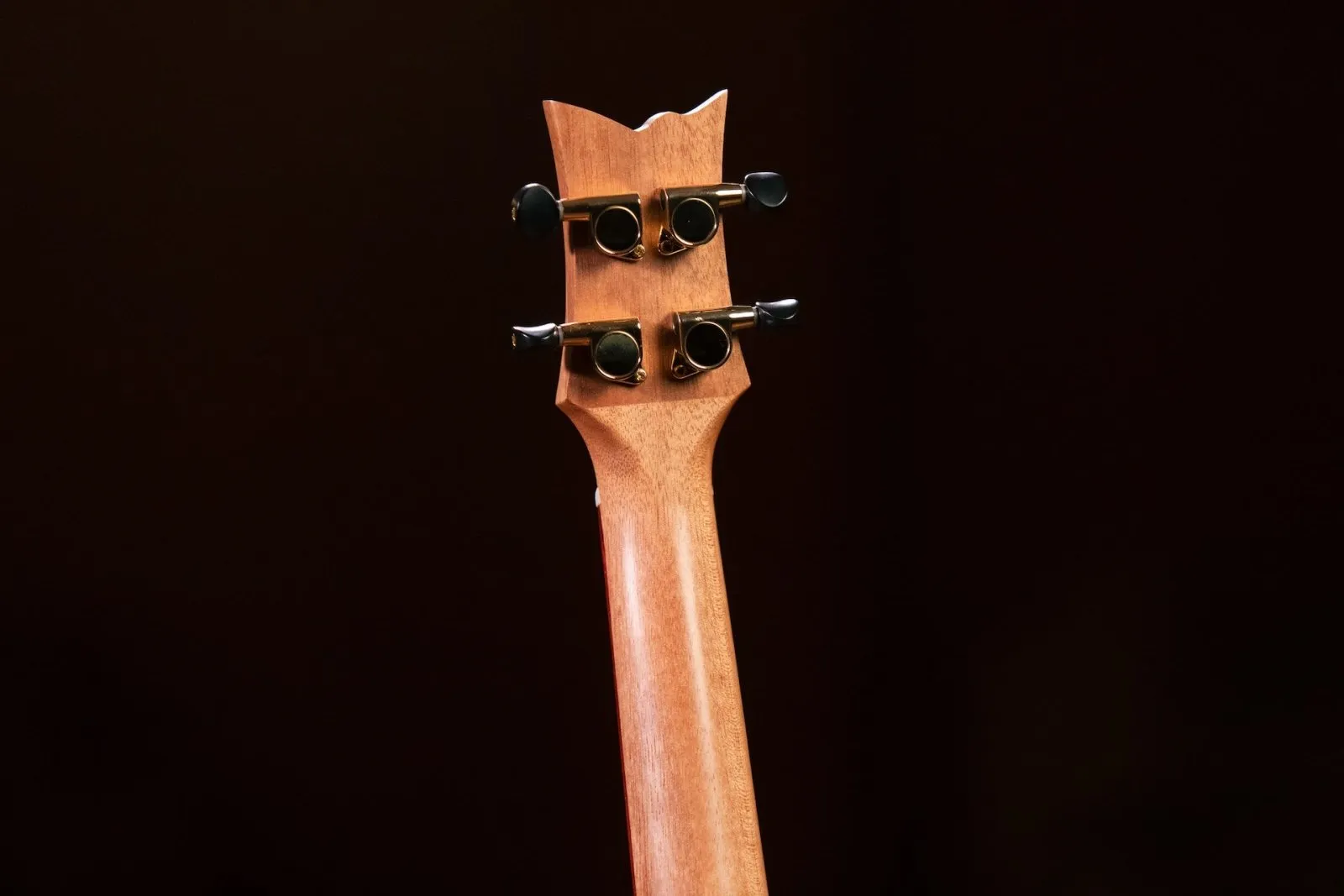 Timber Series Concert Ukulele - Solid Natural Acacia Acoustic with Gig Bag