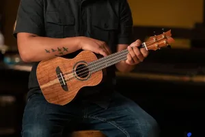 Timber Series Concert Ukulele - Solid Natural Acacia Acoustic with Gig Bag