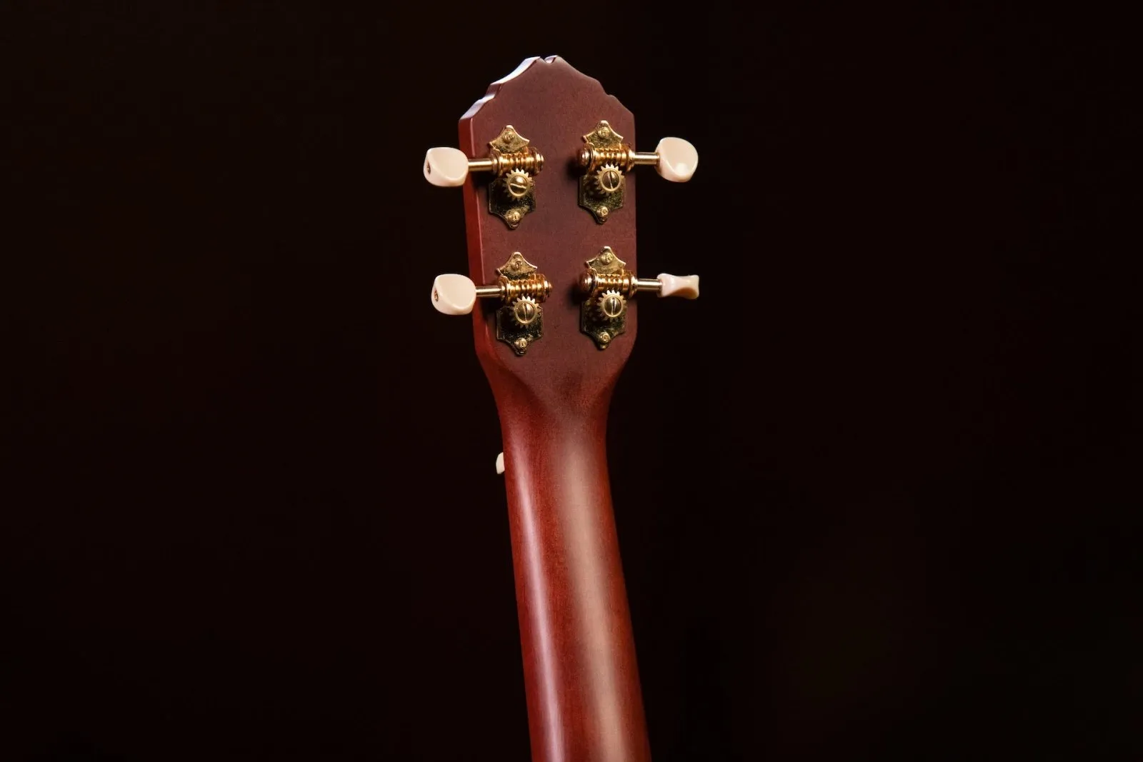 Timber Series Concert Ukulele - Solid Natural Mahogany Acoustic with Gig Bag