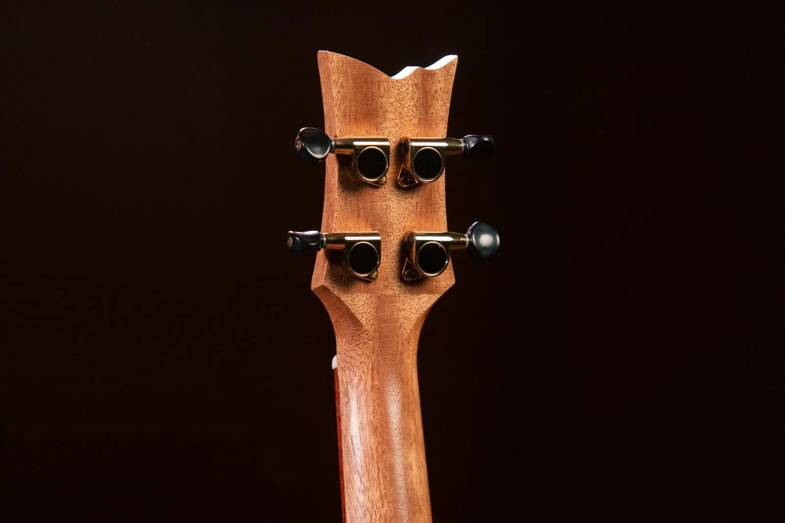 Timber Series Tenor Ukulele - Solid Natural Acacia Acoustic With Gig Bag