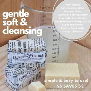 Viva La Body Natural Laundry and Stain Bar
