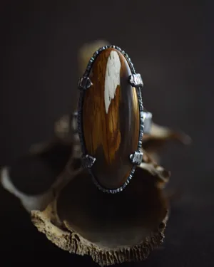 XPetrified Wood Ring - Size 7.5